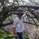 ���������� ������, ���� ������� ������, 33 ����, ������������ ��� ����� � ���������, c�������� ���������