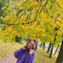  -,   , 29 ,   ,   , c , 