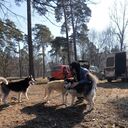 ���������� �����������, ���� ����� ������, 24 ����, ������������ ��� ������, ����� � ���������