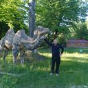 ���������� ����, ���� ������� �����, 47 ���, ������������ ��� c�������� ���������