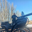 ���������� ���������, ���� ������� �������, 40 ���, ������������ ��� ����� � ���������, c�������� ���������