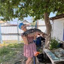 ���������� ������, ���� ������� ����������, 46 ���, ������������ ��� ������, ����� � ���������