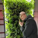 ���������� ���������, ���� ������� ����, 31 ���, ������������ ��� ������, ����� � ���������