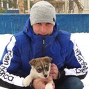 ���������� �����, ���� ������� ������, 47 ���, ������������ 