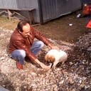  ,   , 56 ,   ,   
