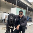 ���������� ���������, ���� ������� �����, 26 ���, ������������ ��� ������, ����� � ���������