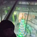 ���������� ������, ���� ������� ����, 36 ���, ������������ ��� ������, ����� � ���������, c�������� ���������, ���������