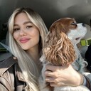  --,   , 33 ,   ,   
