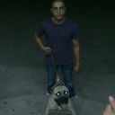 ���������� ����, ���� ������� Cavad, 33 ����, ������������ ��� ������, ���������