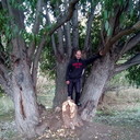 ���������� ������, ���� ������� �������, 46 ���, ������������ ��� ������, ����� � ���������, c�������� ���������