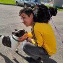 ���������� �������, ���� ����� ����, 25 ���, ������������ ��� ������, ����� � ���������