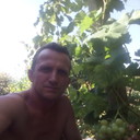 ���������� �����������, ���� ������� �������, 43 ����, ������������ 