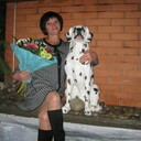  --,   , 62 ,   c , 