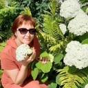 ���������� ������, ���� ������� ������, 50 ���, ������������ ��� ������, ����� � ���������