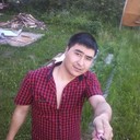 ���������� �����������, ���� ������� Amir, 36 ���, ������������ ��� ������, ���������