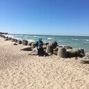 ���������� �����������, ���� ������� �������, 66 ���, ������������ ��� ������, ����� � ���������