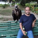 ���������� �������, ���� ������� Sharofiddin, 46 ���, ������������ ��� ������, ����� � ���������, c�������� ���������