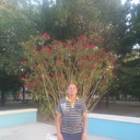  ,   , 54 ,   