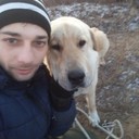  ,   Victor, 34 ,   ,   , c 