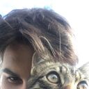  -,   , 26 ,   ,   , c , 