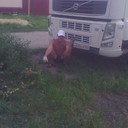  ,   Dmitrii, 55 ,   ,   , c 
