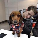 ���������� ����, ���� ������� �������, 27 ���, ������������ ��� ������, ����� � ���������, c�������� ���������, ���������