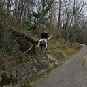 ���������� ��������, ���� ����� ��������, 24 ����, ������������ ��� ������, ����� � ���������, c�������� ���������