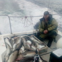 ���������� ������, ���� ������� ���������, 47 ���, ������������ ��� ������, ����� � ���������, c�������� ���������