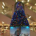 ���������� ������, ���� ������� Stranger, 62 ����, ������������ ��� ������, ����� � ���������, c�������� ���������