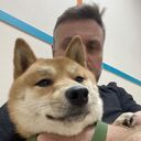 ���������� ������, ���� ������� ��, 41 ���, ������������ ��� ������, ����� � ���������