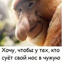  ,    , 48 ,   ,   , c , 