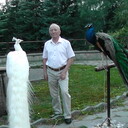  ,   , 78 ,   ,   , c 