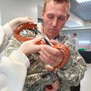 ���������� ������� ������, ���� ������� �������, 33 ����, ������������ ��� ������, ����� � ���������