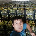 ���������� �������, ���� ������� ������, 31 ���, ������������ ��� ������, ����� � ���������, c�������� ���������, ���������