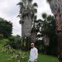 ���������� ������, ���� ������� ���, 38 ���, ������������ ��� ������, ����� � ���������