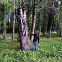 ���������� ����, ���� ������� ���������, 34 ����, ������������ ��� ������, ����� � ���������, c�������� ���������