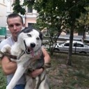 ���������� ����, ���� ������� ��, 41 ���, ������������ ��� ������, ����� � ���������, c�������� ���������