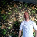 ���������� ������, ���� ������� �������, 41 ���, ������������ ��� ������, ����� � ���������, c�������� ���������, ���������