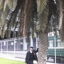 ���������� �����������, ���� ������� ������, 54 ����, ������������ 