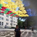 ���������� ���������, ���� ������� ����, 44 ����, ������������ ��� ������, ����� � ���������, c�������� ���������