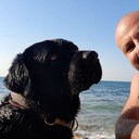 ���������� ������-��-����, ���� ������� �������, 40 ���, ������������ ��� ������, ����� � ���������, c�������� ���������