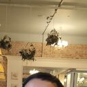  ,   Elena, 44 ,   ,   