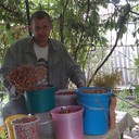 ���������� ���������, ���� ������� �������, 46 ���, ������������ ��� ����� � ���������, c�������� ���������