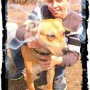 ���������� ����, ���� ������� Sasha, 31 ���, ������������ 