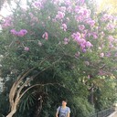 ���������� ����, ���� ������� ��������, 40 ���, ������������ ��� ������, ����� � ���������, c�������� ���������