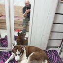  ,   , 55 ,   ,   