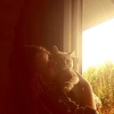 ���������� ����, ���� ������� ����, 22 ����, ������������ ��� ����� � ���������, c�������� ���������, ���������