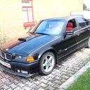 ���������� �����������, ���� ������� �����, 49 ���, ������������ 