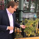 ���������� ������, ���� ������� Frank, 57 ���, ������������ ��� ������, ����� � ���������, c�������� ���������