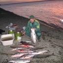 ���������� �����-��������, ���� ������� Serega, 50 ���, ������������ 